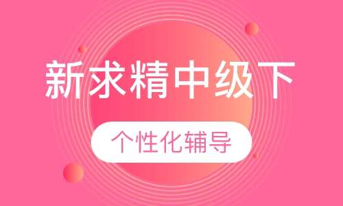 德语新求精中级下