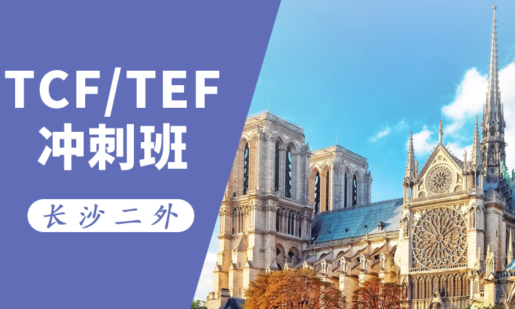 TCF/TEF冲刺班