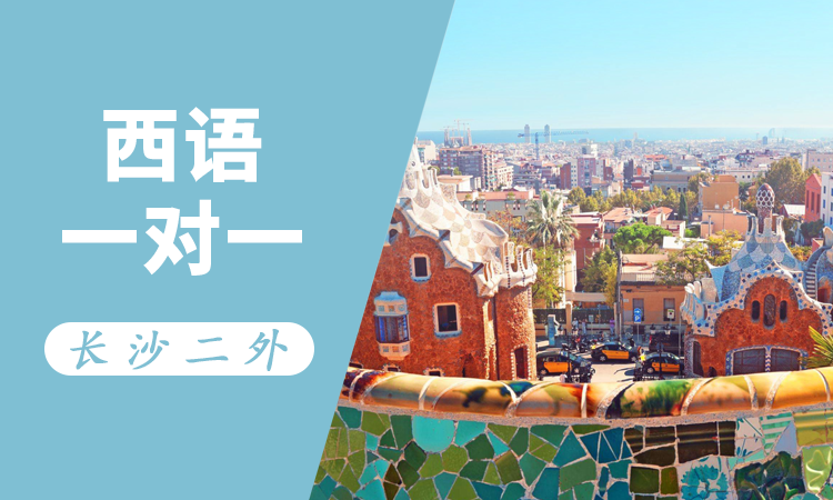 西语一对一（中教）