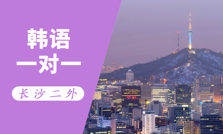 韩语一对一（中教）