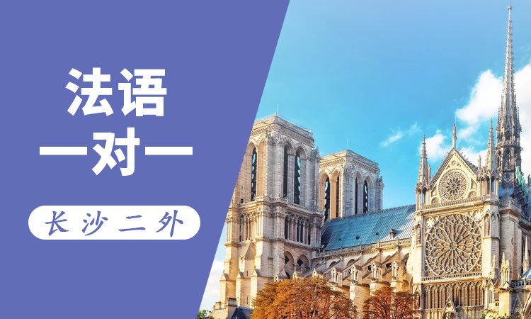 法语一对一（中教）