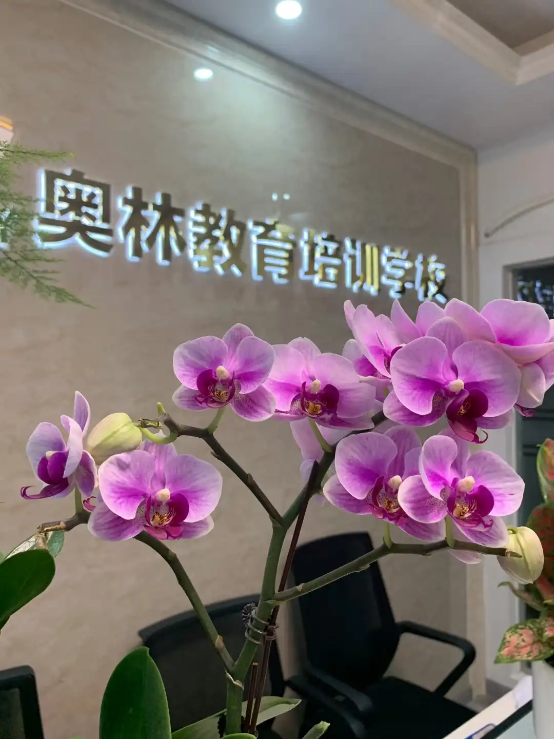 河西大学城校区